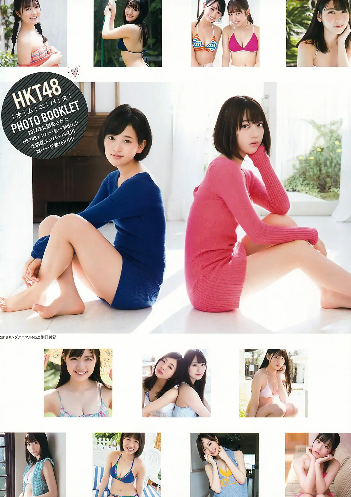 矢吹奈子 松本日向 宮﨑想乃 [Young Animal] 2018年No.02 寫真雜志