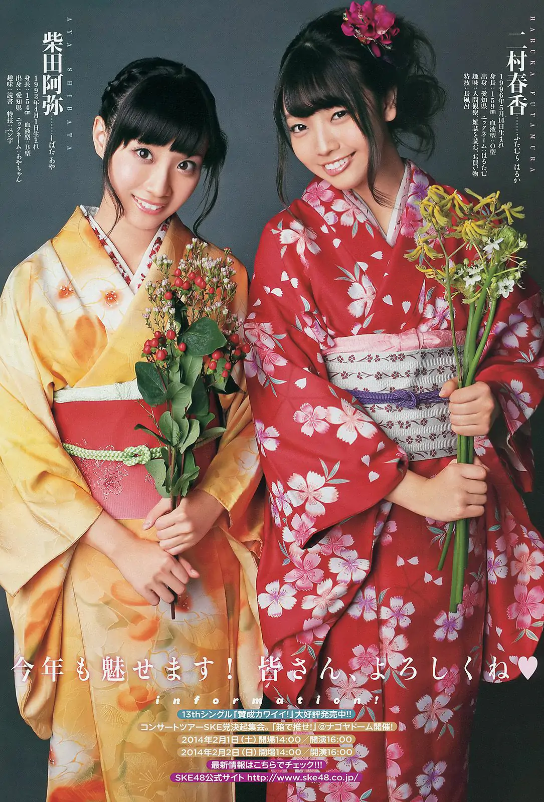 松井玲奈 柴田阿彌 二村春香 [Young Animal] 2014年No.02 寫真雜志