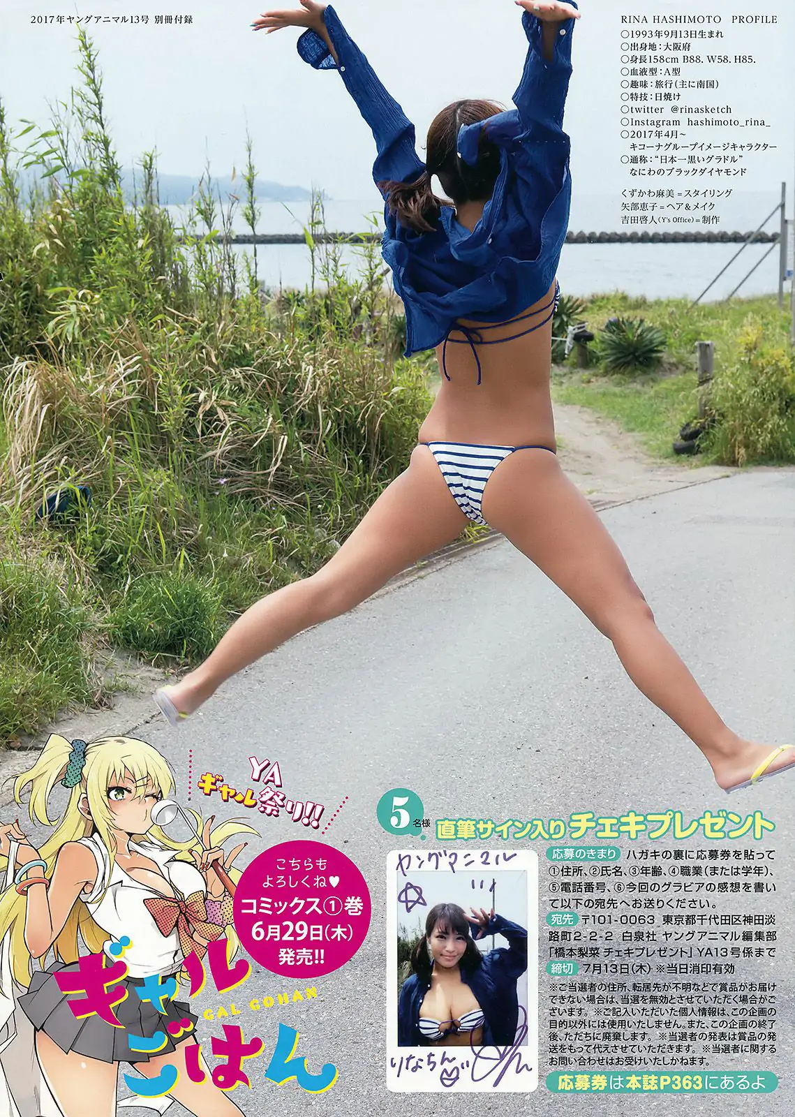 篠崎愛 河井玲奈 橋本梨菜 [Young Animal] 2017年No.13 寫真雜志