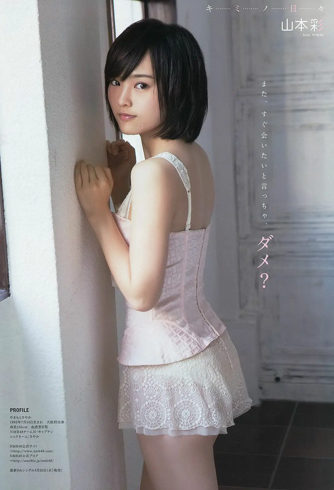 星名美津紀 山本彩 [Young Animal] 2014年No.06 寫真雜志
