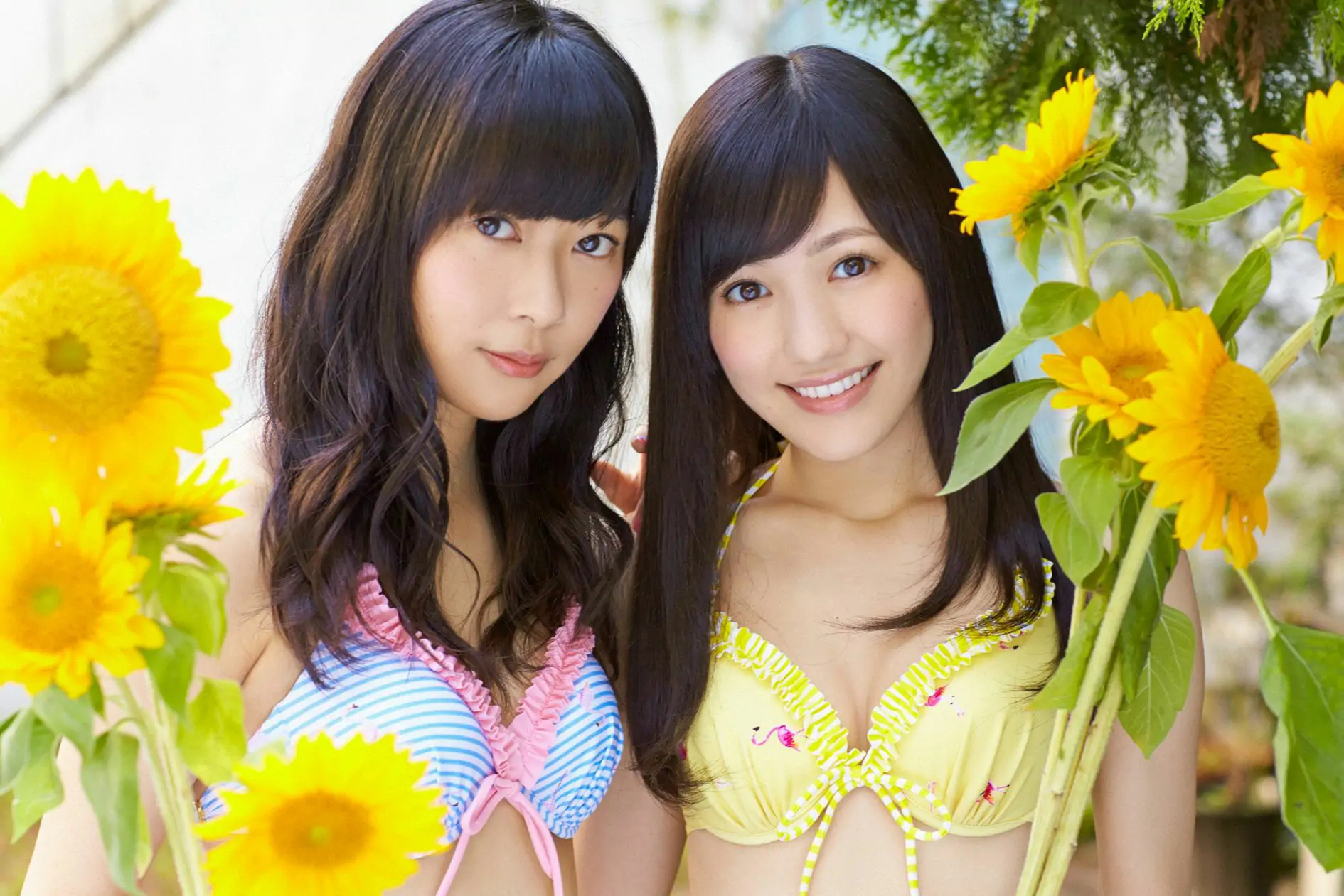 渡辺麻友\/指原莉乃《史上最強の2トップ》 [YS Web] Vol.614